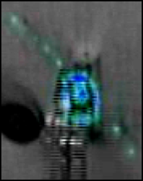 Proprioceptive event density for the stimulus-driven strategy (close-up)
