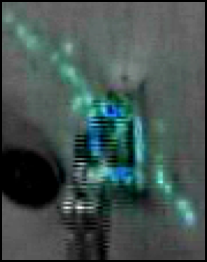 Proprioceptive event density for the random strategy (close-up)