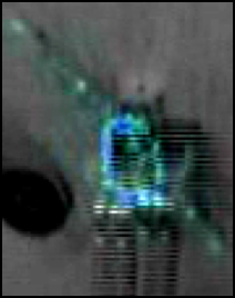 Proprioceptive event density for the uncertainty-driven strategy (close-up)