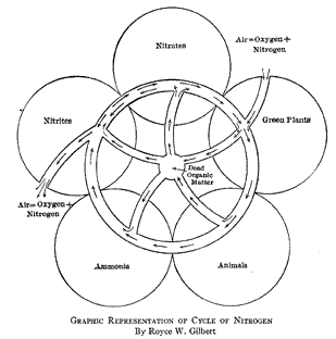 https://home.engineering.iastate.edu/~jea/w3-articles/swallow-sanit-1911/swallow-n2cycle.gif